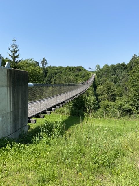 Hanging Bridge on Drau